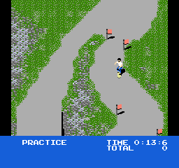 NES Screenshots