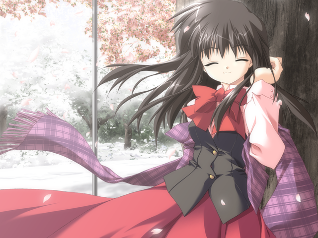 Snow Sakura