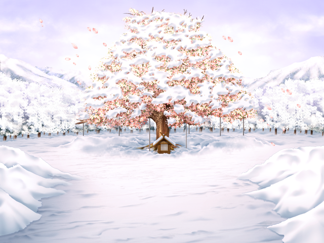 Snow Sakura