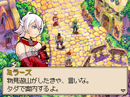 DS Screenshots