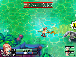 DS Screenshots