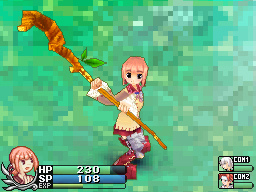 DS Screenshots
