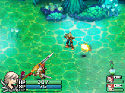 DS Screenshots