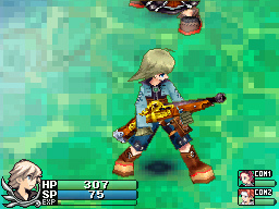 DS Screenshots