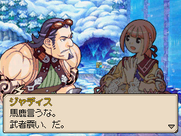 DS Screenshots