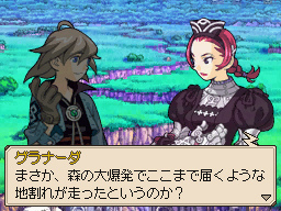 DS Screenshots