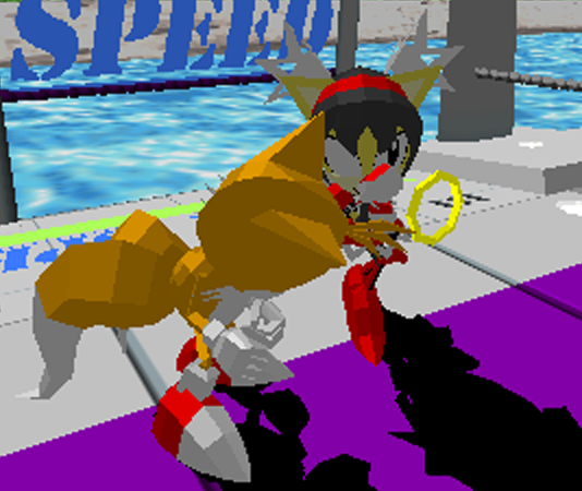 Sonic the Fighters
