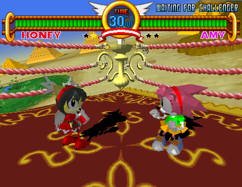 Sonic the Fighters