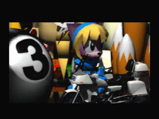 Sonic the Fighters