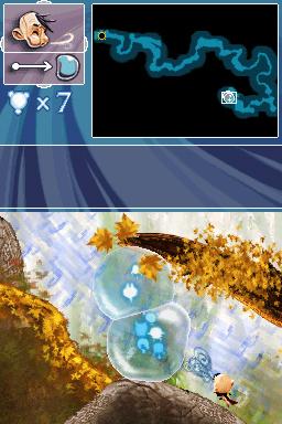 DS Screenshots