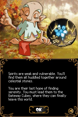 DS Screenshots