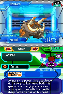 DS Screenshots