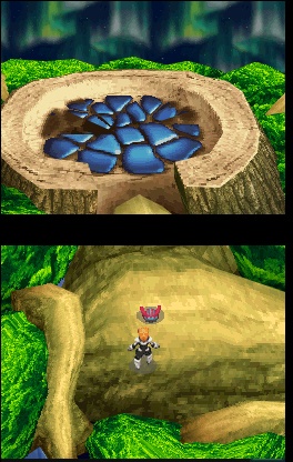 DS Screenshots