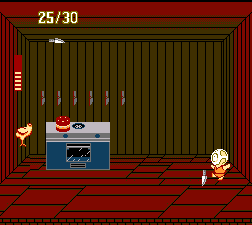 NES Screenshots