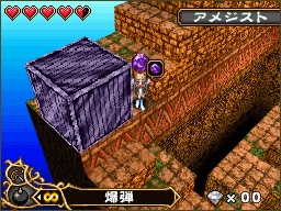 DS Screenshots