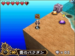 DS Screenshots