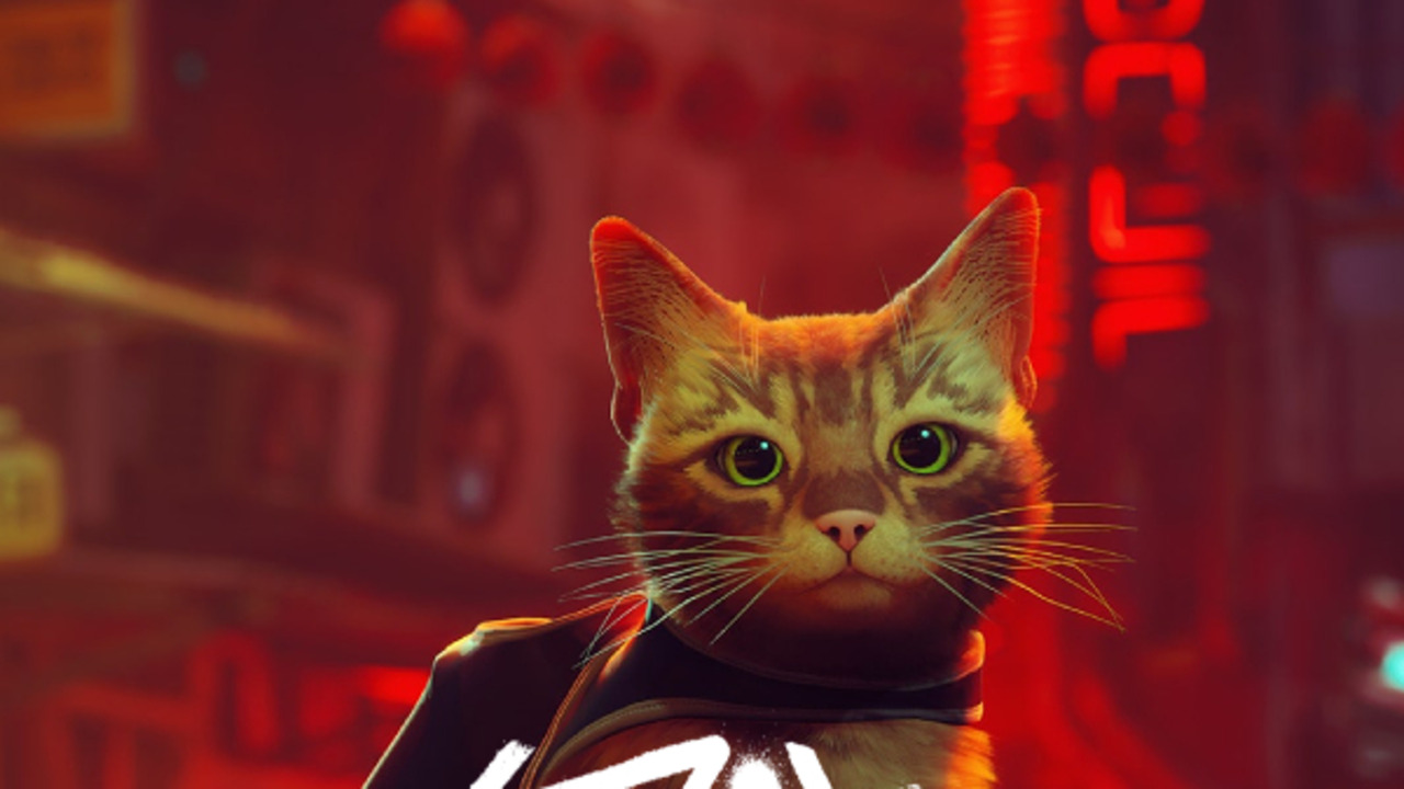 Stray