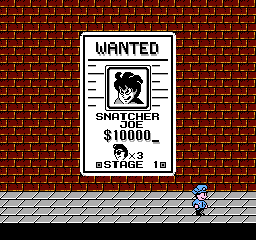 NES Screenshots