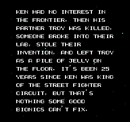 NES Screenshots