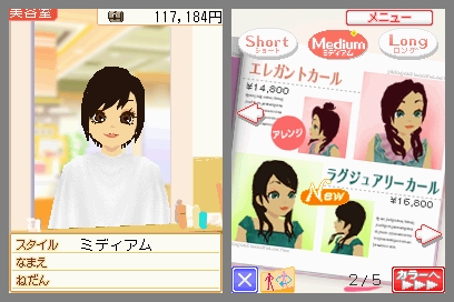 DS Screenshots