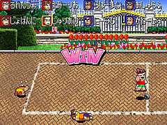 DS Screenshots