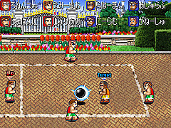 DS Screenshots