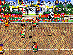 DS Screenshots