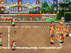 DS Screenshots