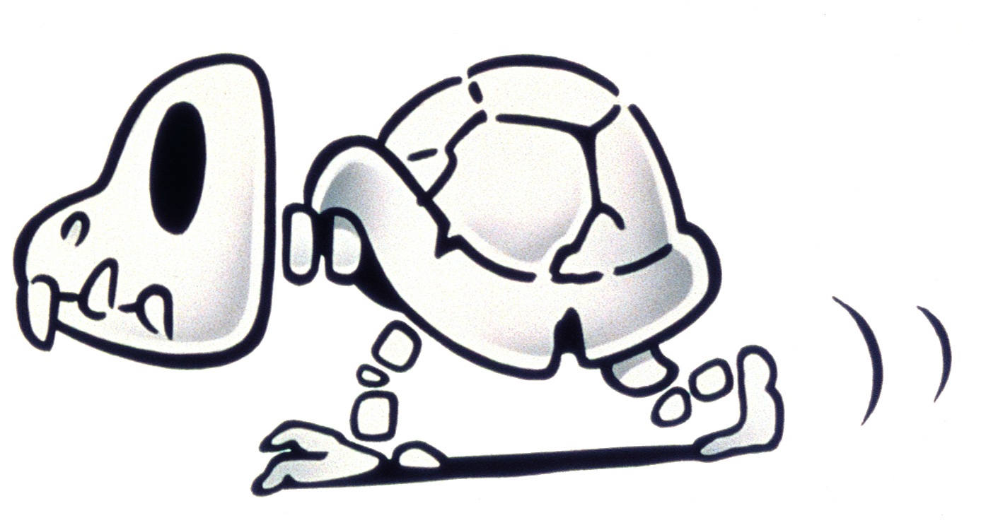 SMB3 Official Art