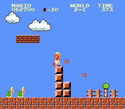 NES Screenshots
