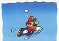 Super Mario World
