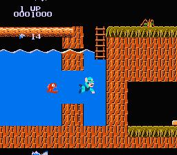 NES Screenshots
