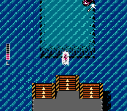 NES Screenshots