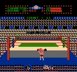 NES Screenshots
