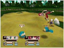 DS Screenshots