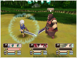DS Screenshots