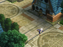 DS Screenshots