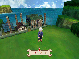 DS Screenshots