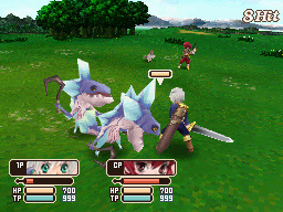 DS Screenshots