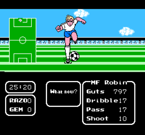 NES Screenshots