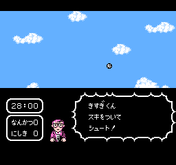 NES Screenshots