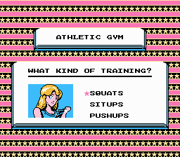 NES Screenshots