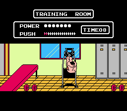 NES Screenshots
