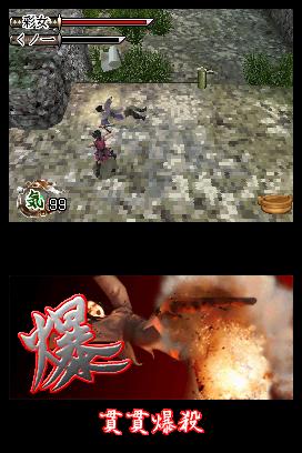 DS Screenshots