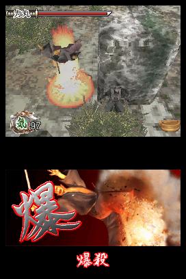 DS Screenshots