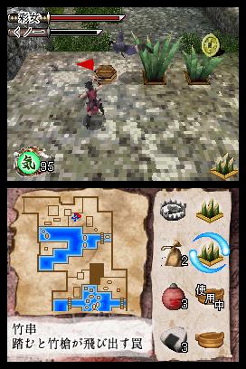 DS Screenshots