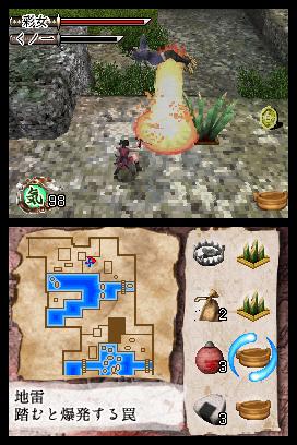 DS Screenshots