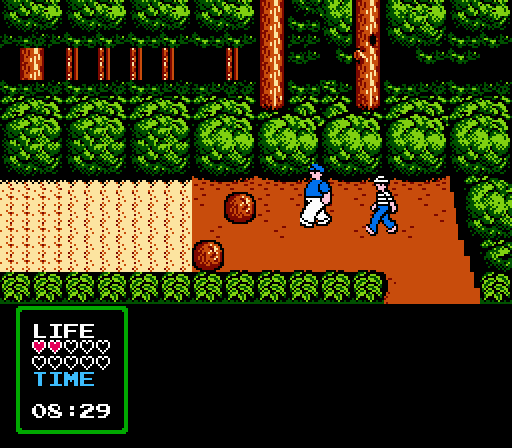 NES Screenshots