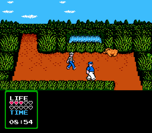 NES Screenshots