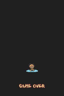 DS Screenshots